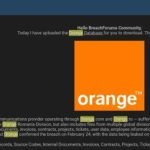 Orange Data Breach: Over 600K Customer Records Exposed
